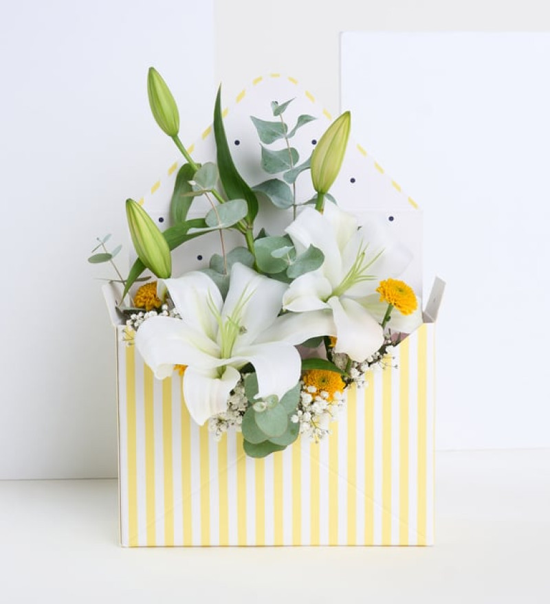 Sarı Çizgili Zarfta Beyaz Lilyum ve Sarı Krizantem