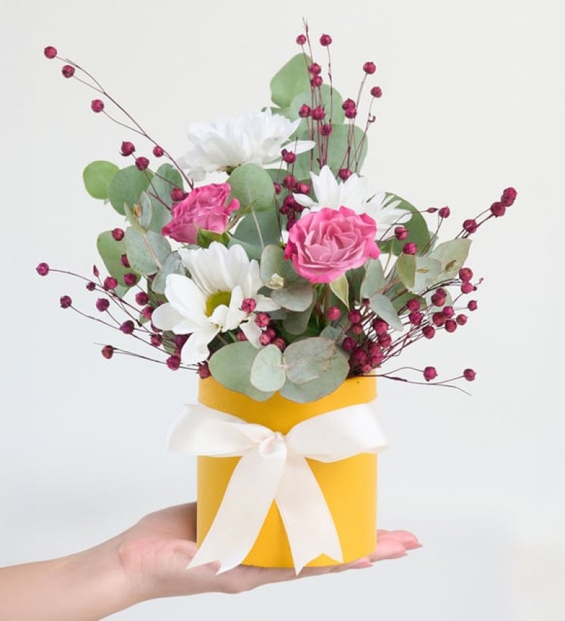 Sarı Saksıda Pembe Güller ve Beyaz Papatyalar