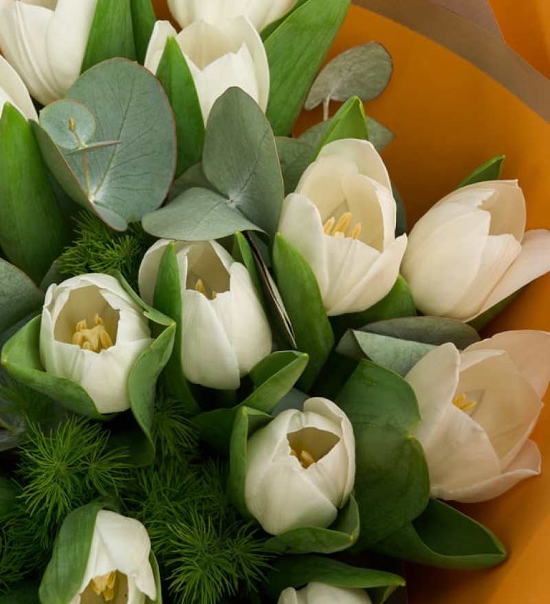 Bukette 20'li Beyaz Lale Aranjmanı